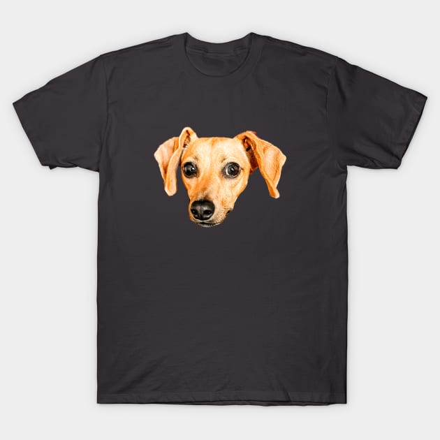 Cute Dachshund T-Shirt by N8I